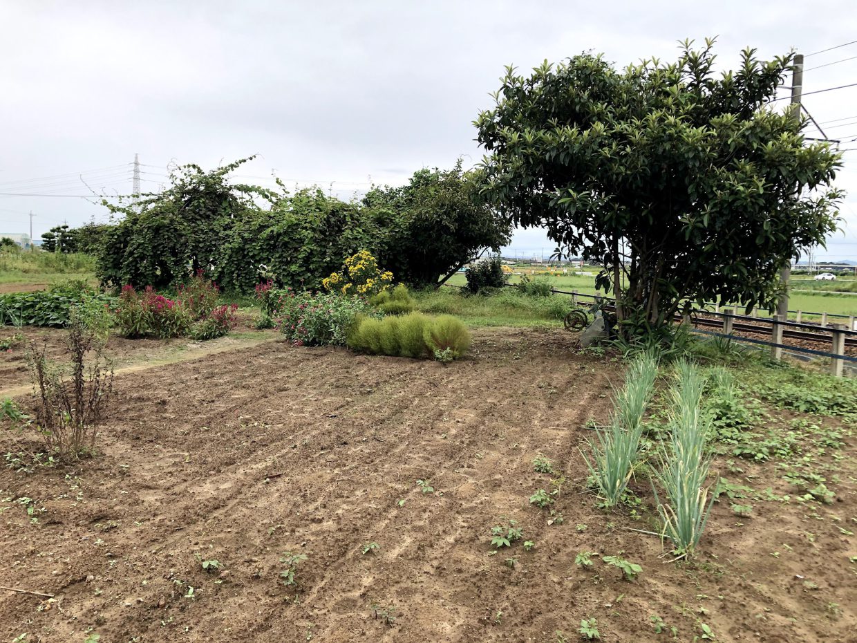 210919_farm